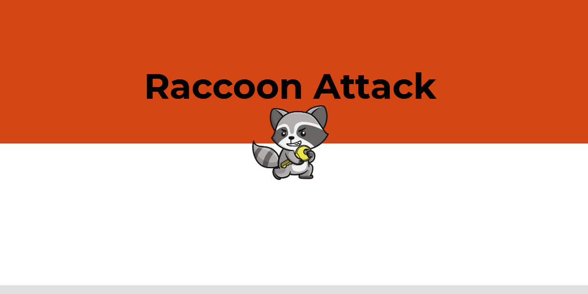 The Raccoon Attack - It Is All About The Timing